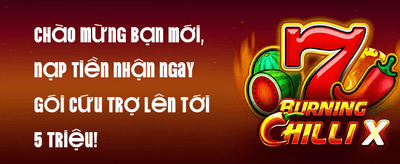Free Spins